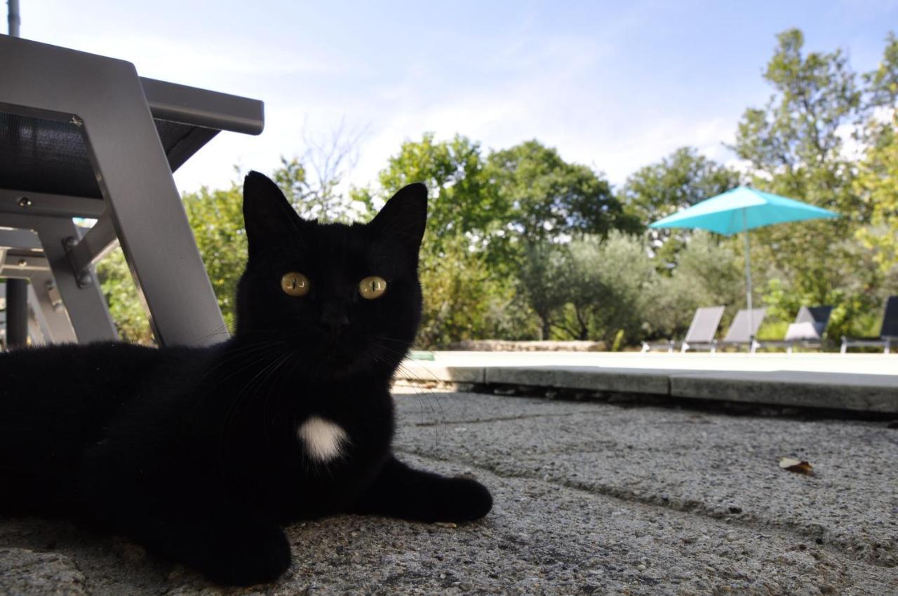 Un Je Ne Sais Quoi De Paradis Les Vans Buitenkant foto